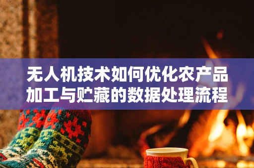 无人机技术如何优化农产品加工与贮藏的数据处理流程？
