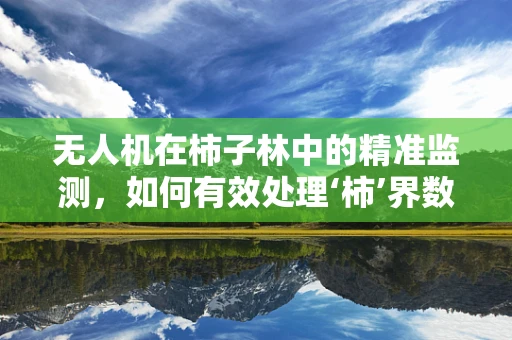 无人机在柿子林中的精准监测，如何有效处理‘柿’界数据的挑战？