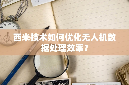 西米技术如何优化无人机数据处理效率？