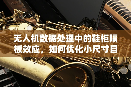 无人机数据处理中的鞋柜隔板效应，如何优化小尺寸目标的识别精度？