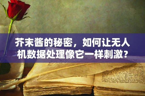 芥末酱的秘密，如何让无人机数据处理像它一样刺激？