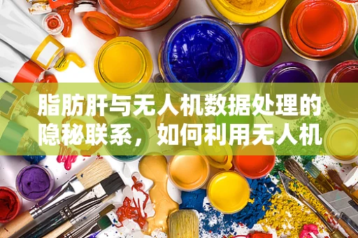 脂肪肝与无人机数据处理的隐秘联系，如何利用无人机监测肝脏健康？