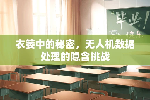 衣篓中的秘密，无人机数据处理的隐含挑战
