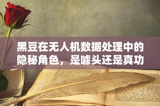 黑豆在无人机数据处理中的隐秘角色，是噱头还是真功夫？