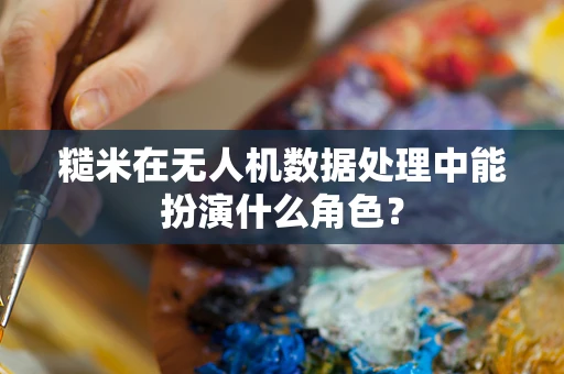 糙米在无人机数据处理中能扮演什么角色？