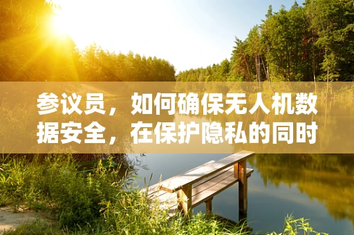 参议员，如何确保无人机数据安全，在保护隐私的同时促进公共安全？