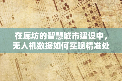 在廊坊的智慧城市建设中，无人机数据如何实现精准处理与高效利用？