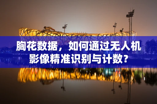 胸花数据，如何通过无人机影像精准识别与计数？