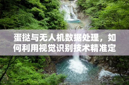蛋挞与无人机数据处理，如何利用视觉识别技术精准定位？