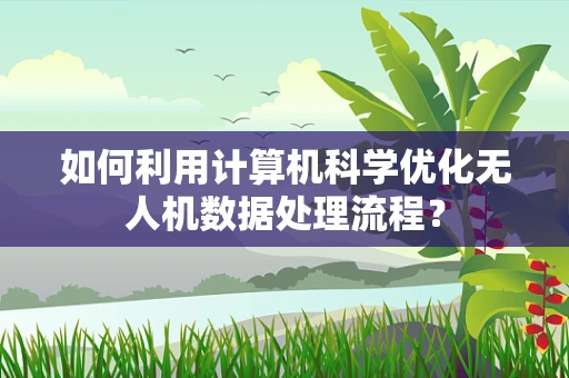 如何利用计算机科学优化无人机数据处理流程？