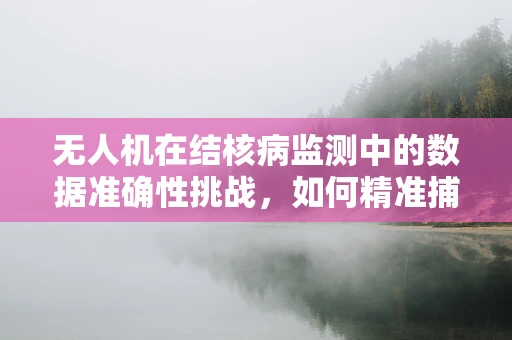 无人机在结核病监测中的数据准确性挑战，如何精准捕捉并分析病灶信息？