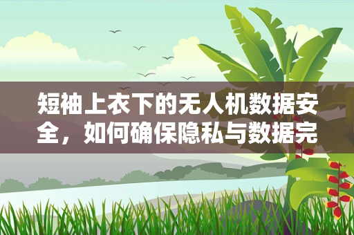 短袖上衣下的无人机数据安全，如何确保隐私与数据完整性？