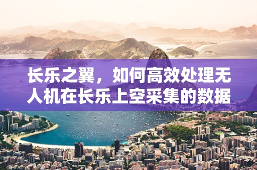 长乐之翼，如何高效处理无人机在长乐上空采集的数据？