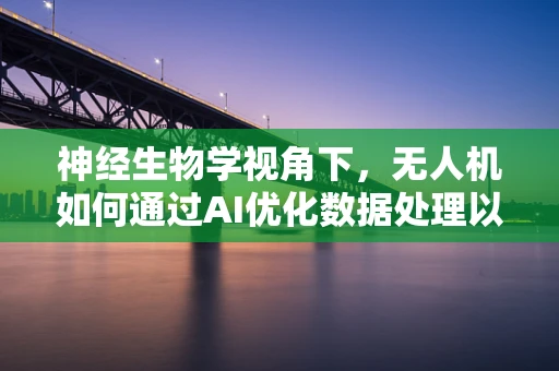 神经生物学视角下，无人机如何通过AI优化数据处理以模拟生物脑的复杂运算？