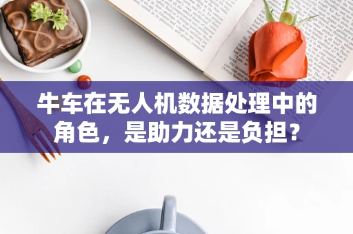 牛车在无人机数据处理中的角色，是助力还是负担？