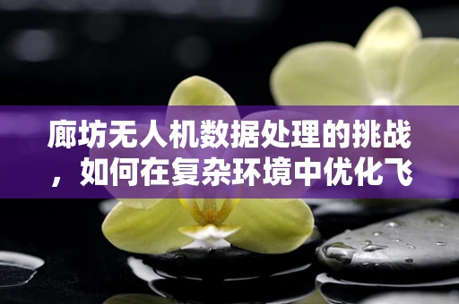 廊坊无人机数据处理的挑战，如何在复杂环境中优化飞行与数据处理？