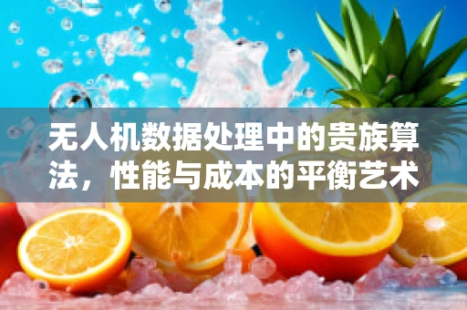 无人机数据处理中的贵族算法，性能与成本的平衡艺术