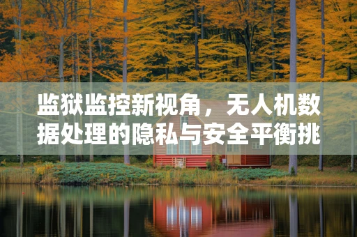 监狱监控新视角，无人机数据处理的隐私与安全平衡挑战