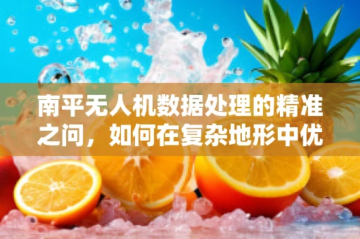 南平无人机数据处理的精准之问，如何在复杂地形中优化飞行与数据处理？