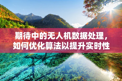 期待中的无人机数据处理，如何优化算法以提升实时性？