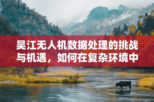 吴江无人机数据处理的挑战与机遇，如何在复杂环境中优化飞行任务？