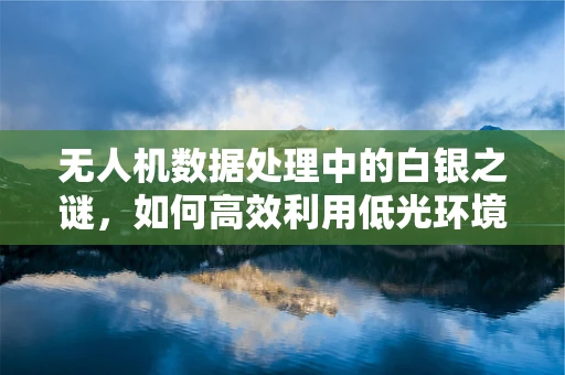 无人机数据处理中的白银之谜，如何高效利用低光环境下的影像？