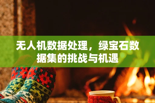 无人机数据处理，绿宝石数据集的挑战与机遇
