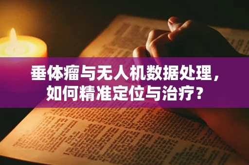 垂体瘤与无人机数据处理，如何精准定位与治疗？
