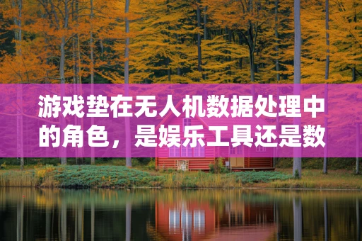游戏垫在无人机数据处理中的角色，是娱乐工具还是数据处理新战场？