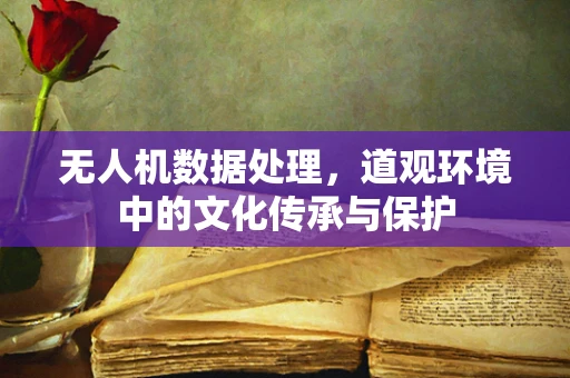 无人机数据处理，道观环境中的文化传承与保护