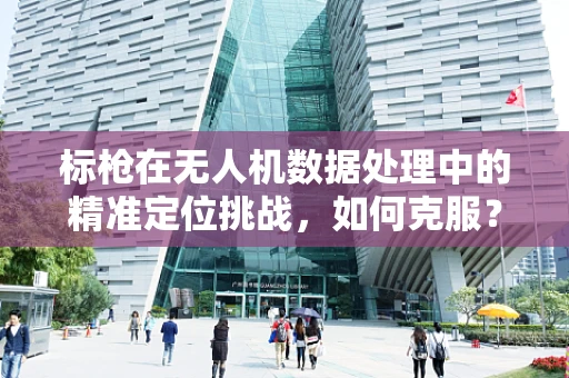 标枪在无人机数据处理中的精准定位挑战，如何克服？