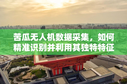 苦瓜无人机数据采集，如何精准识别并利用其独特特征？