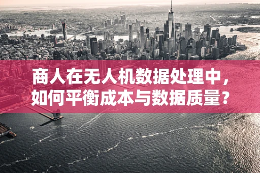商人在无人机数据处理中，如何平衡成本与数据质量？