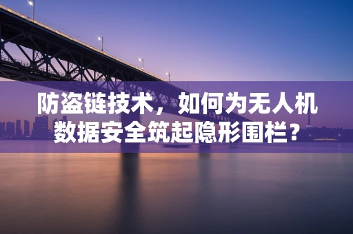 防盗链技术，如何为无人机数据安全筑起隐形围栏？