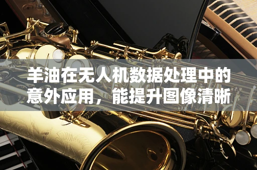 羊油在无人机数据处理中的意外应用，能提升图像清晰度吗？