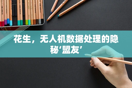 花生，无人机数据处理的隐秘‘盟友’