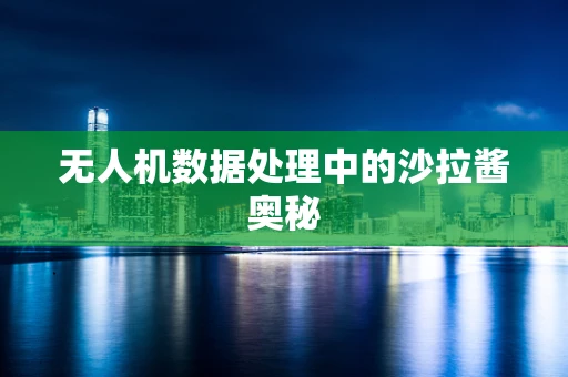 无人机数据处理中的沙拉酱奥秘