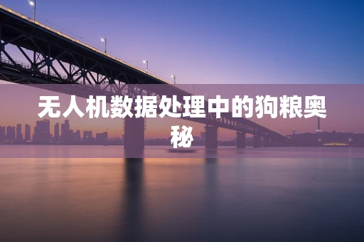 无人机数据处理中的狗粮奥秘