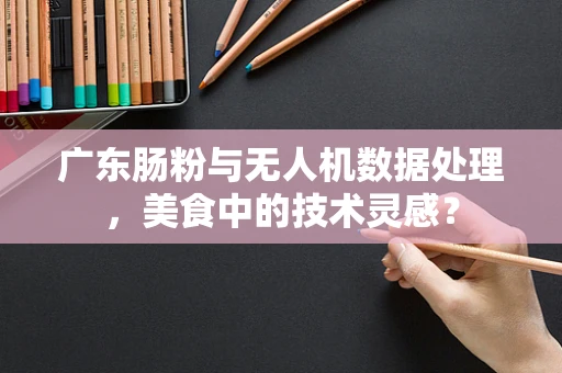 广东肠粉与无人机数据处理，美食中的技术灵感？