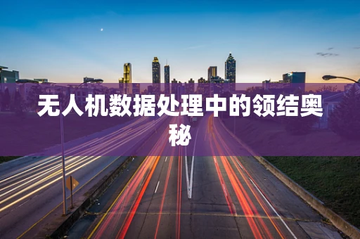 无人机数据处理中的领结奥秘