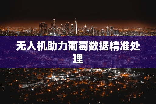 无人机助力葡萄数据精准处理
