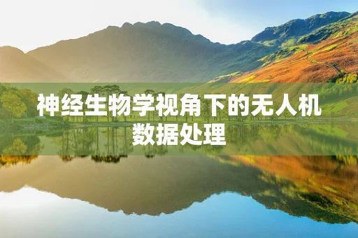 神经生物学视角下的无人机数据处理