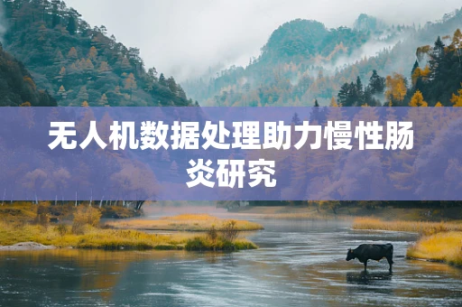 无人机数据处理助力慢性肠炎研究