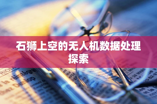 石狮上空的无人机数据处理探索
