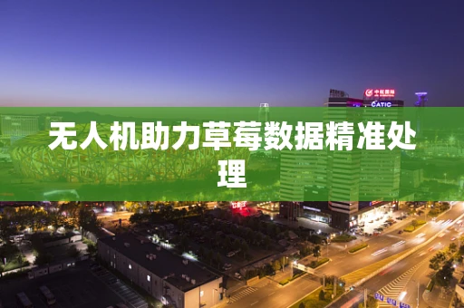 无人机助力草莓数据精准处理