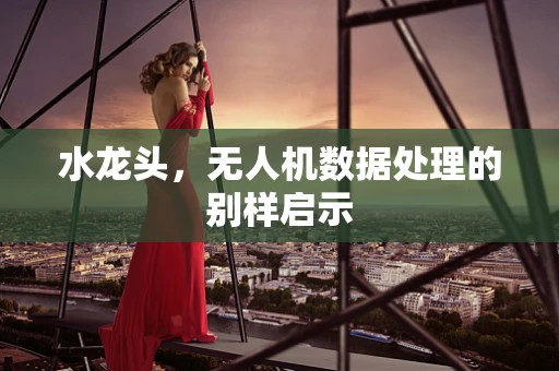 水龙头，无人机数据处理的别样启示