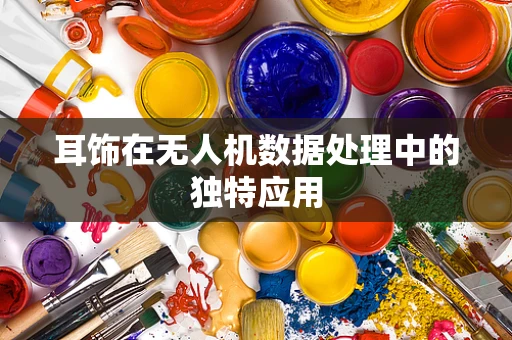 耳饰在无人机数据处理中的独特应用