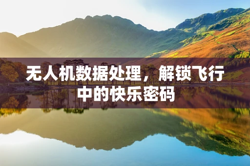 无人机数据处理，解锁飞行中的快乐密码