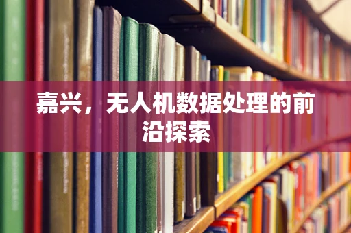 嘉兴，无人机数据处理的前沿探索