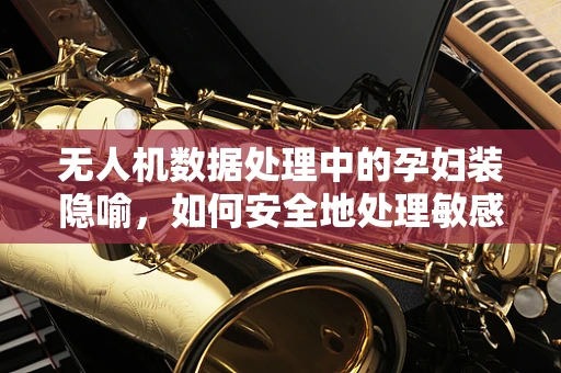 无人机数据处理中的孕妇装隐喻，如何安全地处理敏感数据？